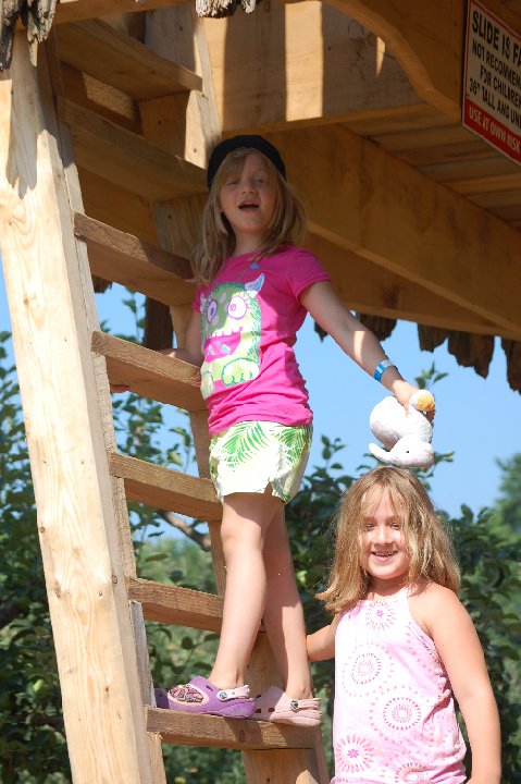 SUMMER (985)